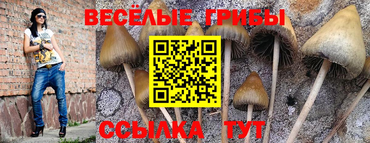 Галлюциногенные грибы GOLDEN TEACHER Моздок