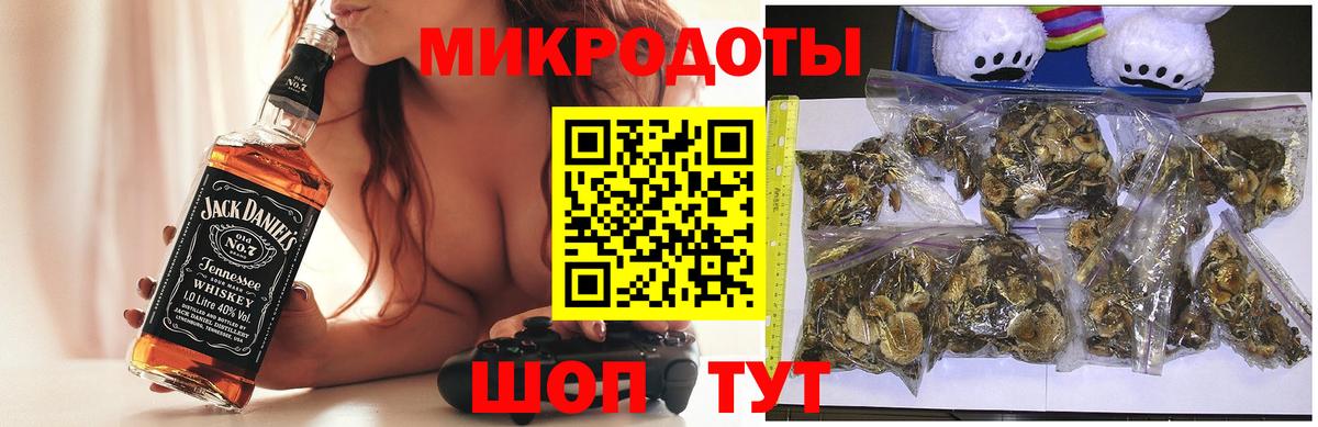 Моздок  Псилоцибиновые грибы Psilocybe  Вход с VPN 